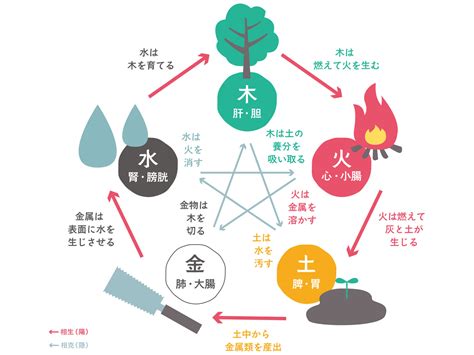 五行 体の部位|カラダは5つに分類される「五行説」とは｜東洋医学 